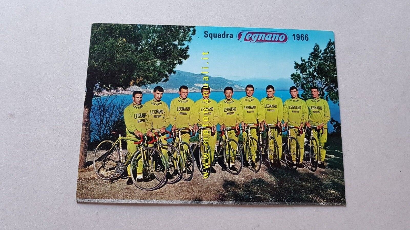  Legnano biciclette squadra corse 1966 cartolina pubblicitaria originale epoca