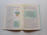 002(61)