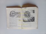 016(11)