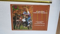 img_274728198537a