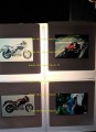 img_274729362261i