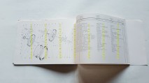 img_274804343519f