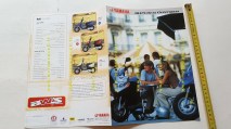 img_275037716624c