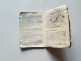 img_275148330731f