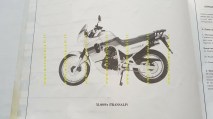 img_275242872720c