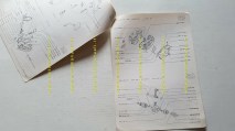 img_275368066437e