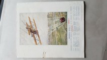 img_275374554499f