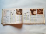 img_275430338334e