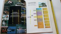img_284224882653d