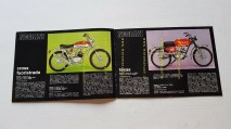 img_284227301537g