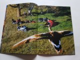 img_284818040073d