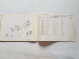 img_284877043996h